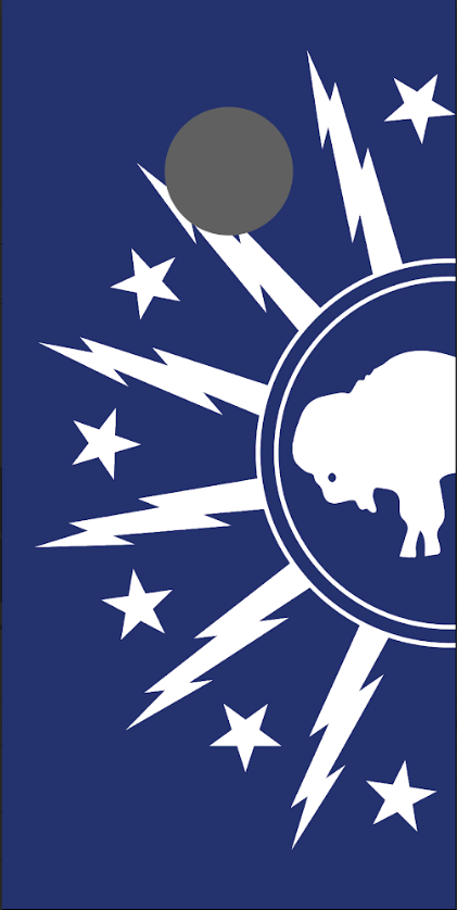 Standing Buffalo City Flag